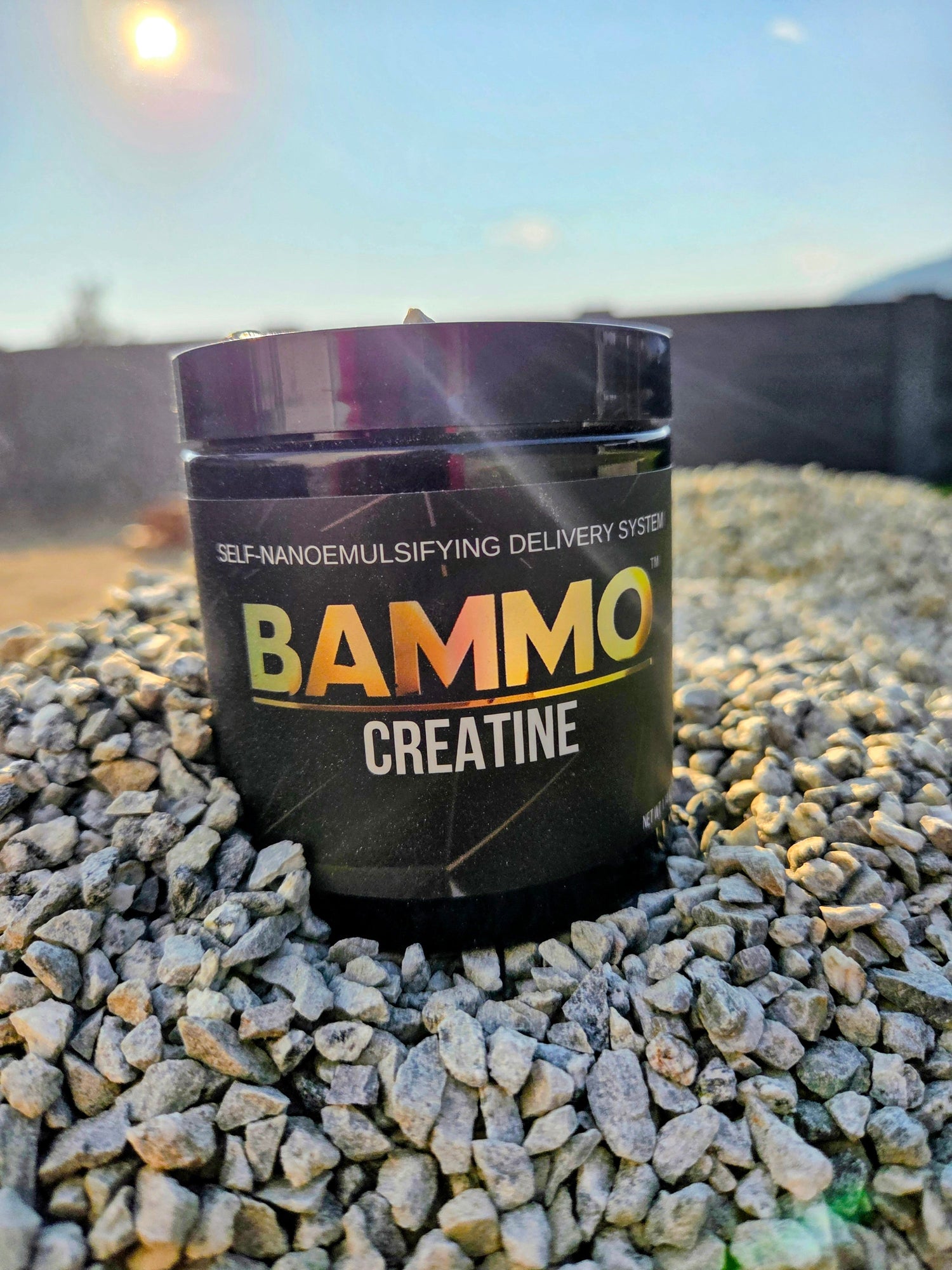 BAMMO - PERFORMANCE